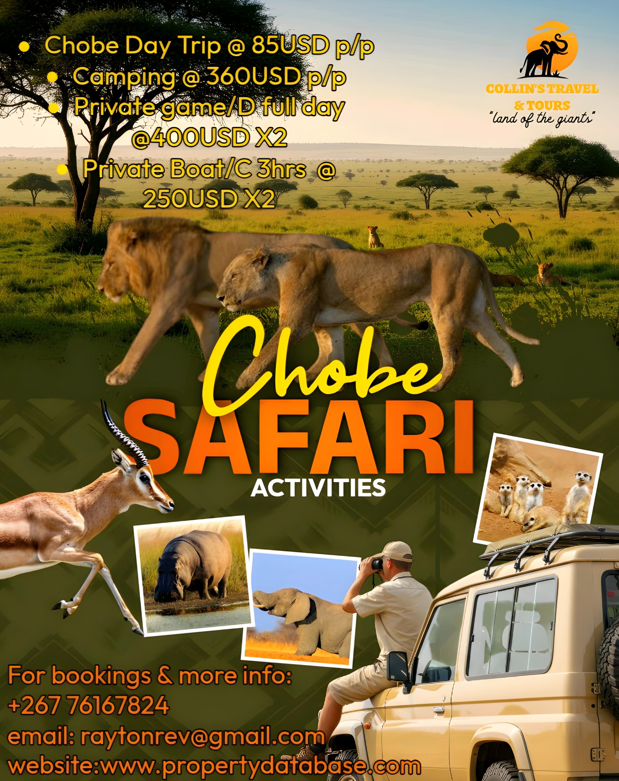 Chobe Safari Activities